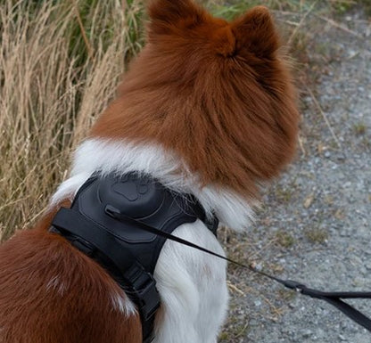 harnais-anti-traction-laisse-RowlHarness