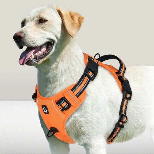 harnais-chien-ajustable-orange-tractionzero