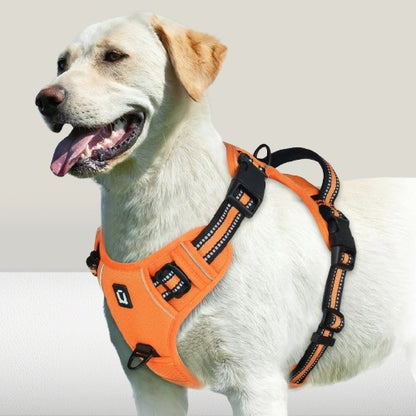 harnais-chien-ajustable-orange-tractionzero