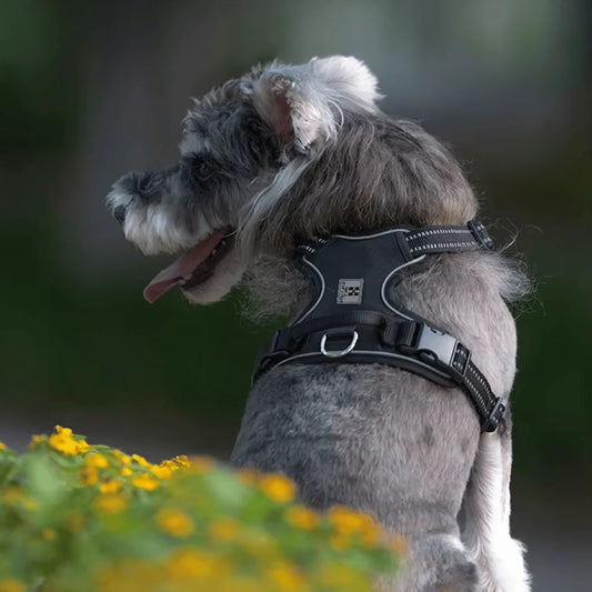harnais-chien-anti-traction-bandes-reflechissantes-nuitdog