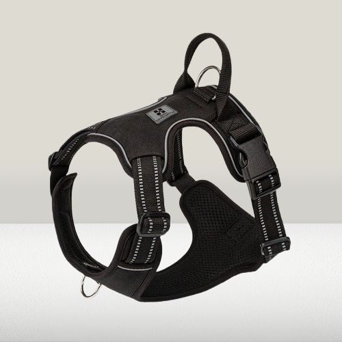 harnais-chien-anti-traction-design-noir