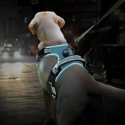 harnais-chien-bleu-reflechissant-nuit-tractionzero