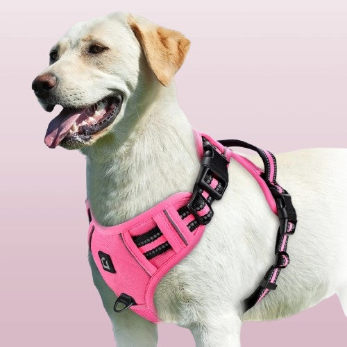 harnais-chien-confort-rose-tractionzero