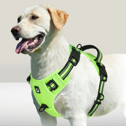 harnais-chien-confort-vert-tractionzero