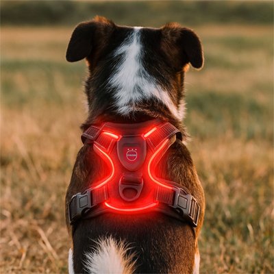 Harnais chien LumiHarnais rouge réflechissant