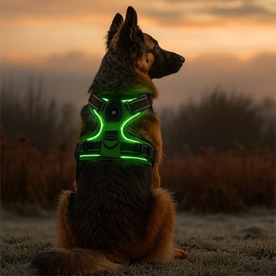 Harnais chien LumiHarnais vert réflechissant