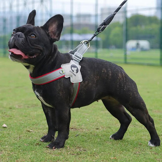 harnais-chien-rouge-Airyleash