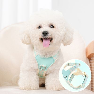 harnais-petit-chien-bleu-clair-confortable