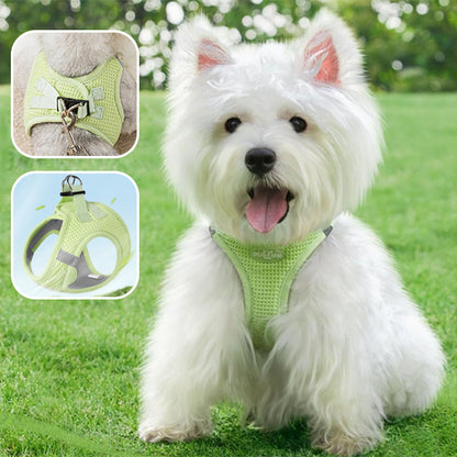 Harnais Petit Chien | PuppyMoov™