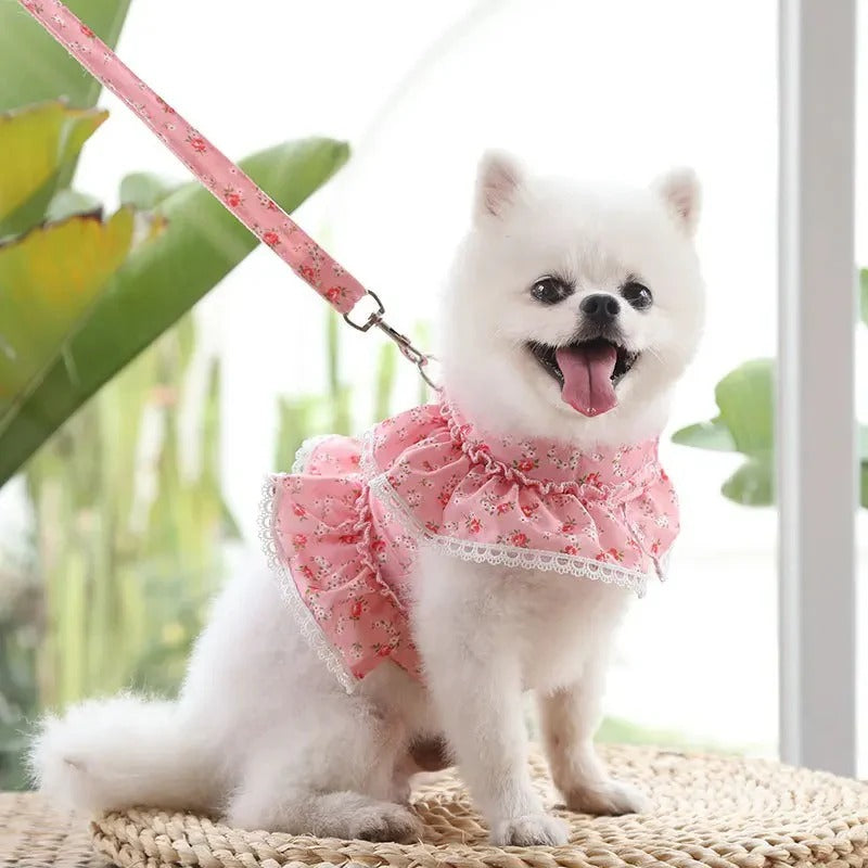harnais-petit-chien-laisse-assortie-robe-rose-ladymoovi