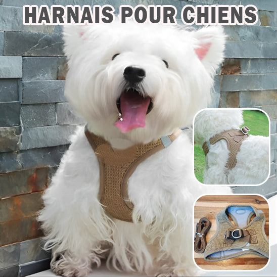 harnais-petit-chien-marron-clair