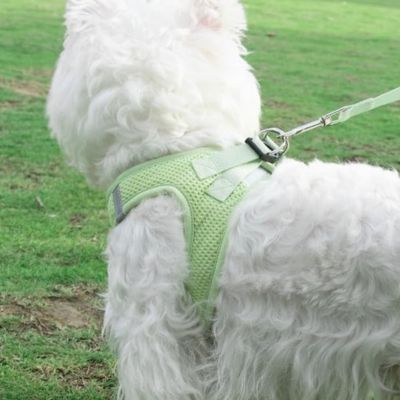 harnais-petit-chien-puppymoov-vert