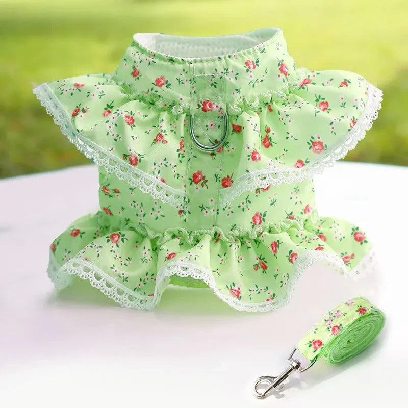 harnais-petit-chien-robe-vert-ladymoovi