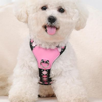 harnais-petit-chien-robuste-design