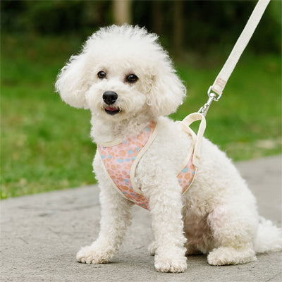 harnais petit chien rose claire bichon blanc confortplus