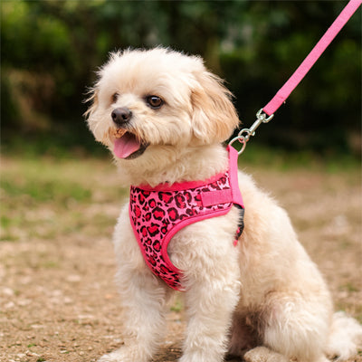 harnais petit chien rose motifs léopard confortplus