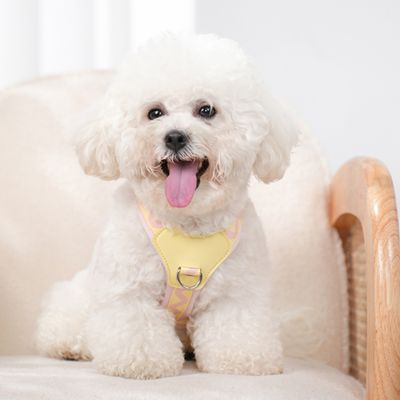 harnais-petit-chien-rose-jaune-design