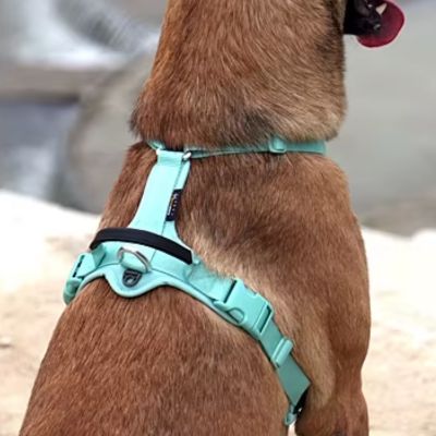 Harnais pour Chien | DogConfort™