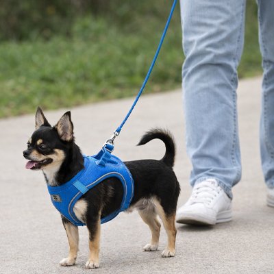 Harnais pour chien GentleWalk bleu léger respirant
