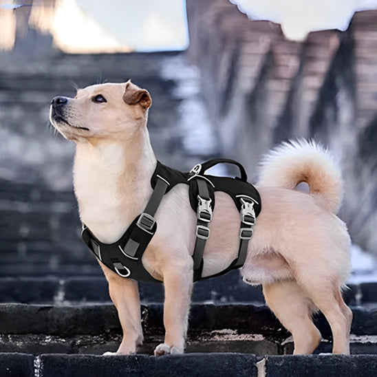 harnais-pour-chien-noir-triple-sangle