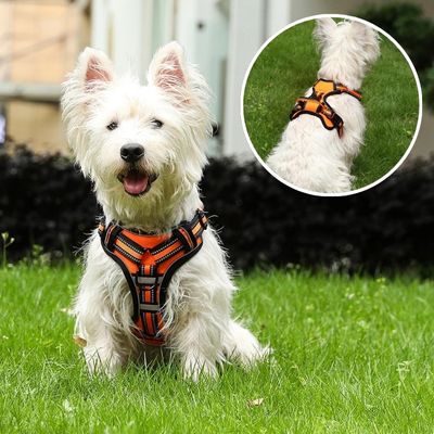 harnais-pour-chien-orange-coutures-reflechissantes