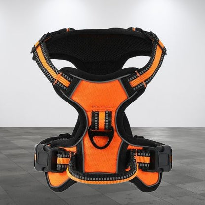 harnais-pour-chien-orange-reflechissant