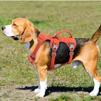 Harnais pour chien | DogExcursion™