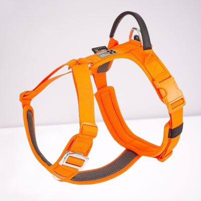harnais-pour-chien-orange