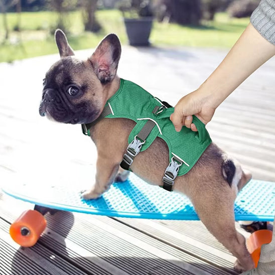 harnais-pour-chien-poignee-control