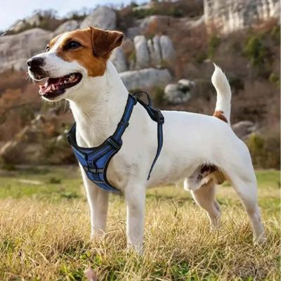harnais-pour-chien-reflechissant-bleu-reflechipet