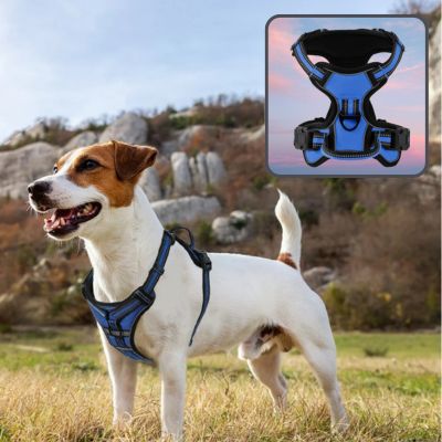 harnais-pour-chien-reflechissant-bleu