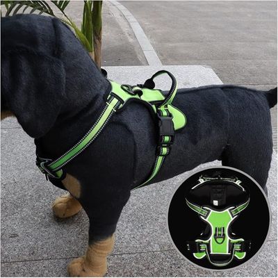 harnais-pour-chien-reflechissant-vert