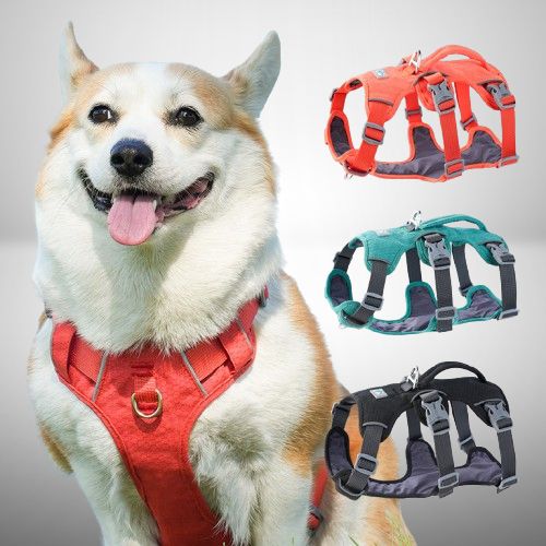 harnais-pour-chien-sangles