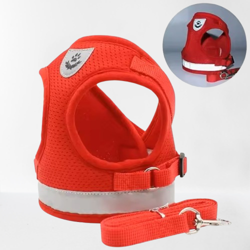 harnais-pour-chien-securite-nuit-rouge-harncool