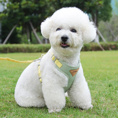 harnais-pour-chien-vert-caniche