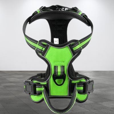 harnais-pour-chien-vert-reflechissant