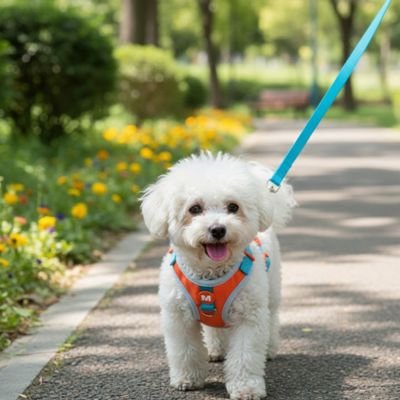 Harnais pour petit chien caniche couleur orange vif motif éléphant fun