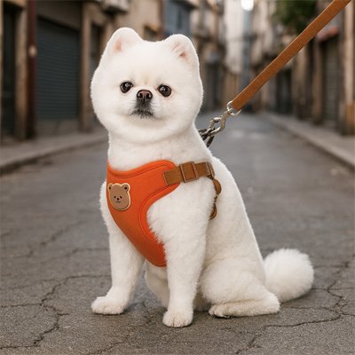 Harnais pour petit Chien orange motif nounours mignon