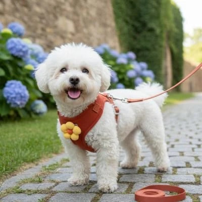 harnais-pour-petit-chien-rouge-design-elegan-floral