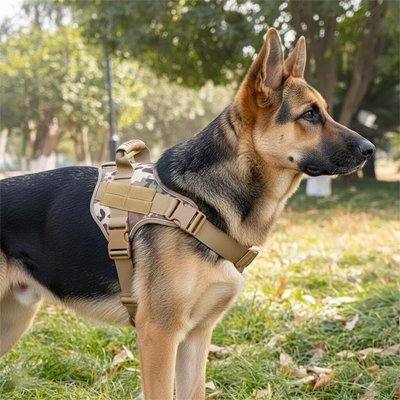 Harnais tactique chien PawTrek camouflage militaire