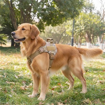 Harnais tactique chien PawTrek camouflage 