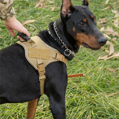 Harnais tactique chien PawTrek marron zéro traction