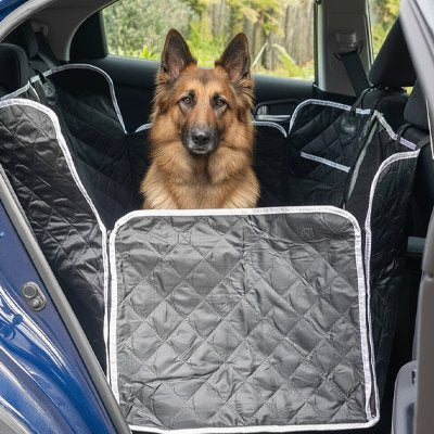 Housse voiture chien ZenTravel-Dog voiture propre