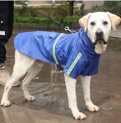 impermeable-chien-bleu-bande-reflechissante-haute-vivibilite-labrador-texleon