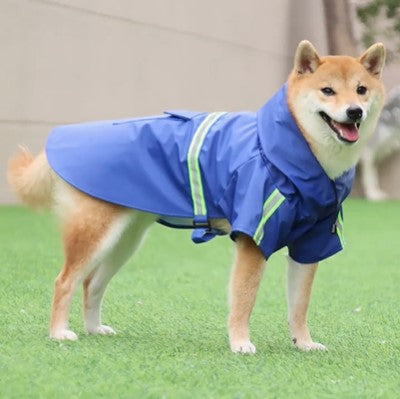 impermeable-chien-bleu