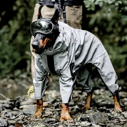 impermeable-chien-grande-taille-texoscar