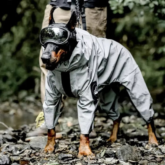 impermeable-chien-grande-taille-texoscar