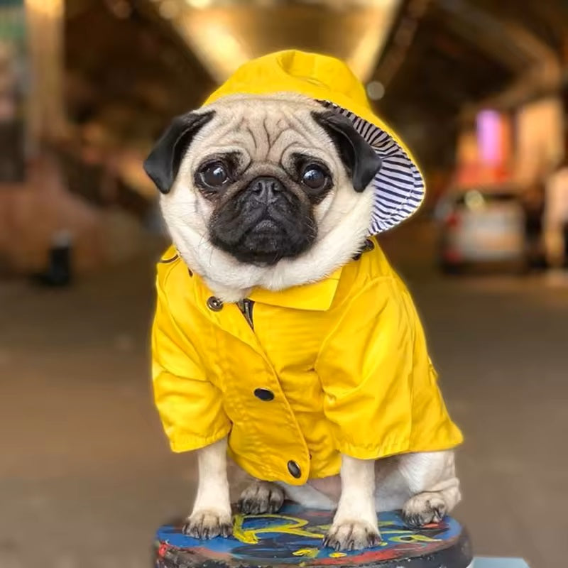 impermeable-chien-jaune-bonne-etancheite-texjacob