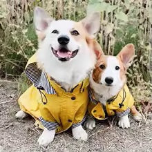 mpermeable-chien-jaune-capuche-texjacob