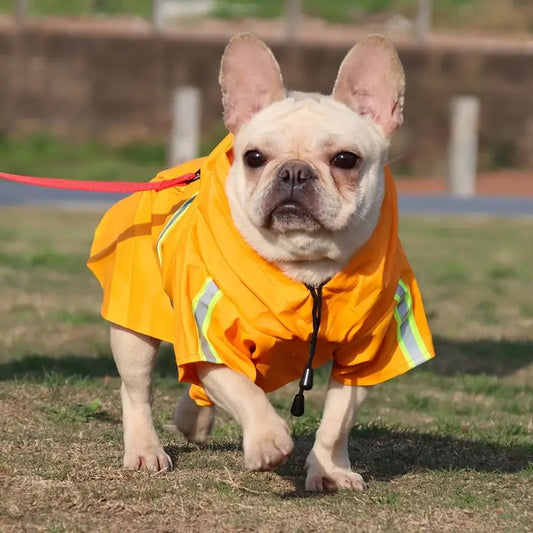impermeable-chien-jaune-conce-reflechissant-texleon